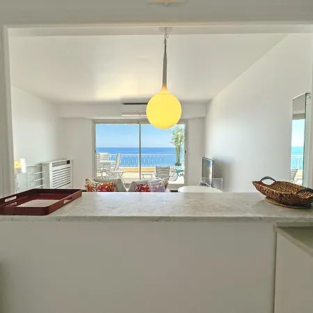 Stunning Rooftop Retreat On The Promenade Des Apartament Nicea